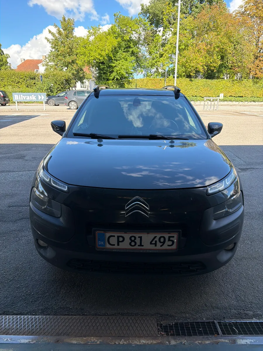 Foto fra et syn på Synshjørnet