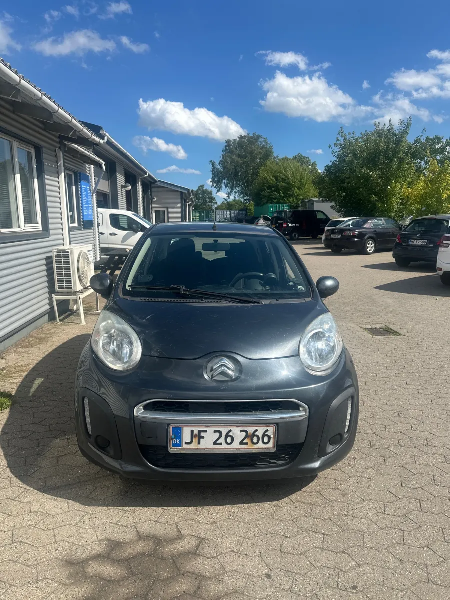 Foto fra et syn på Borup Auto ApS