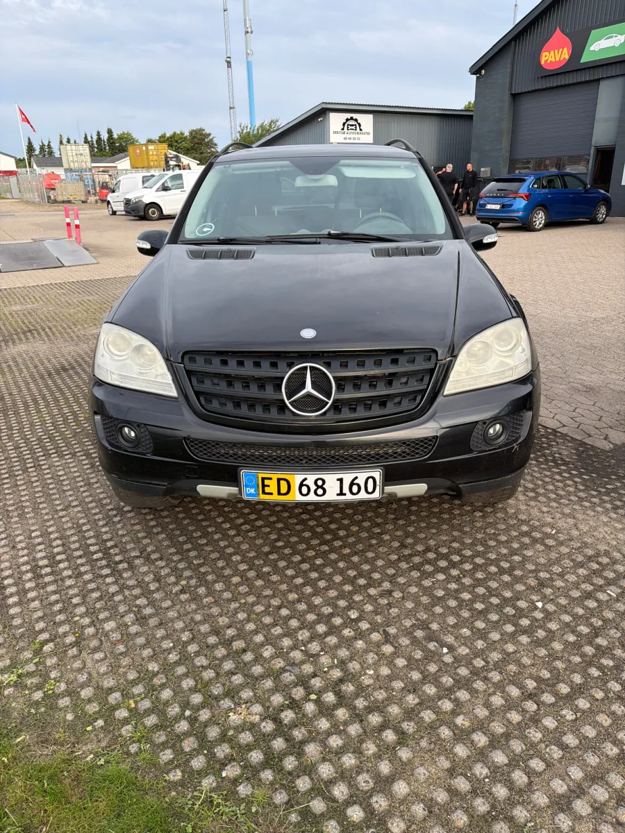 Foto fra et syn på Holgersen Syn ApS