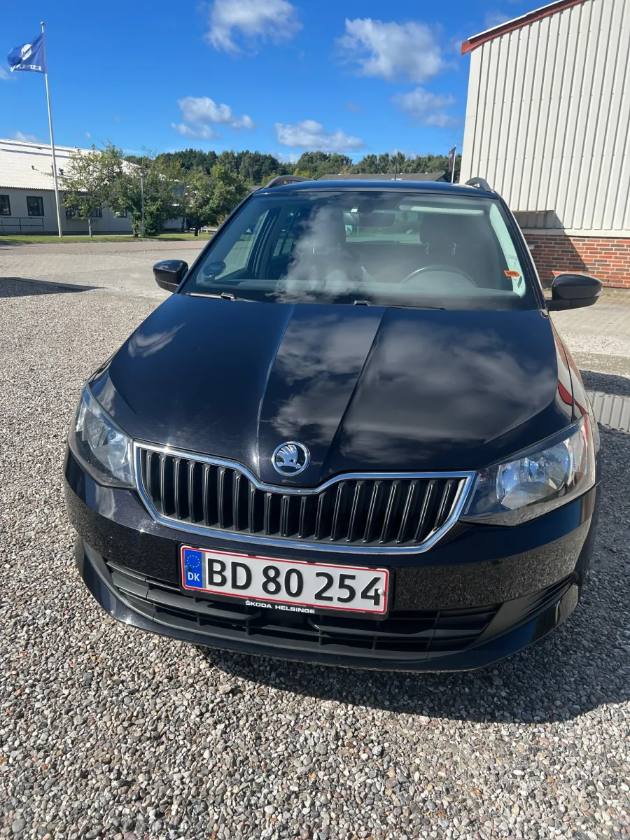 Foto fra et syn på Christians Synshal